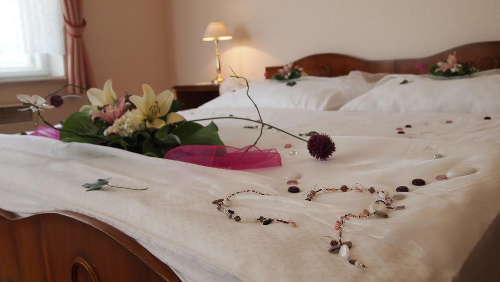 Pension Habermannova Vila Bludov  Стая снимка